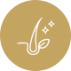 clinic4-home-icon-1