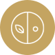clinic4-home-icon-3